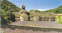 France,_Vaucluse,_Gordes,_Abbaye de_Senanque